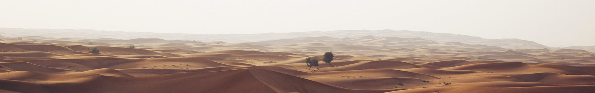 人ȫƼ޹˾